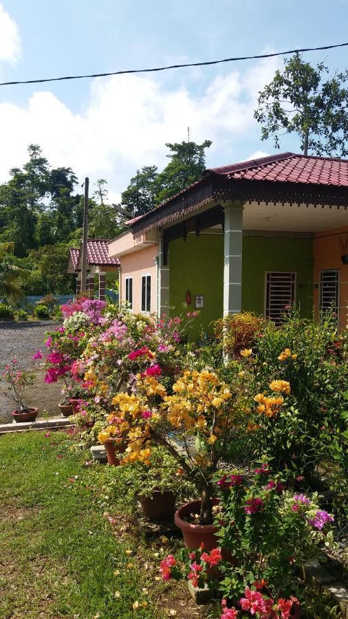 Dhia Irdina Homestay Paya Rewak Exteriér fotografie